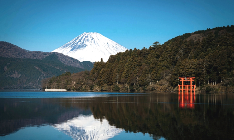 hakone trip