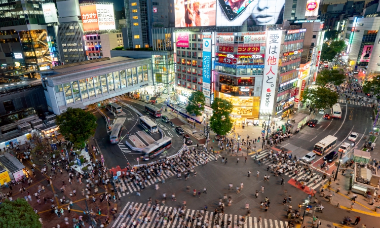 tokyo tours