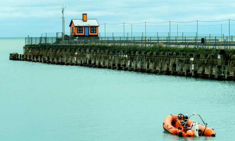 shimizu port