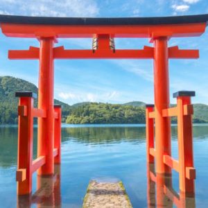 Mount Fuji and cherry blossoms view - XplorJapan tour