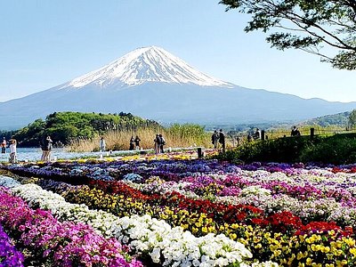 Mount Fuji