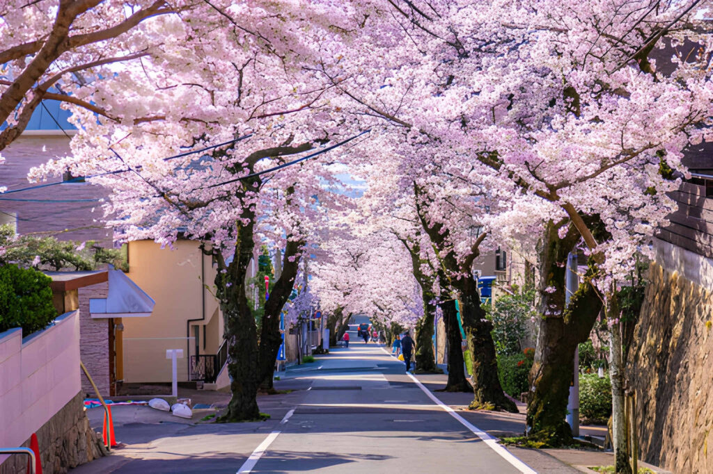 A wide-angle photo of a quiet Japanese street