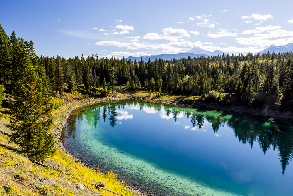 Mount Fuji Five Lakes Private Tours