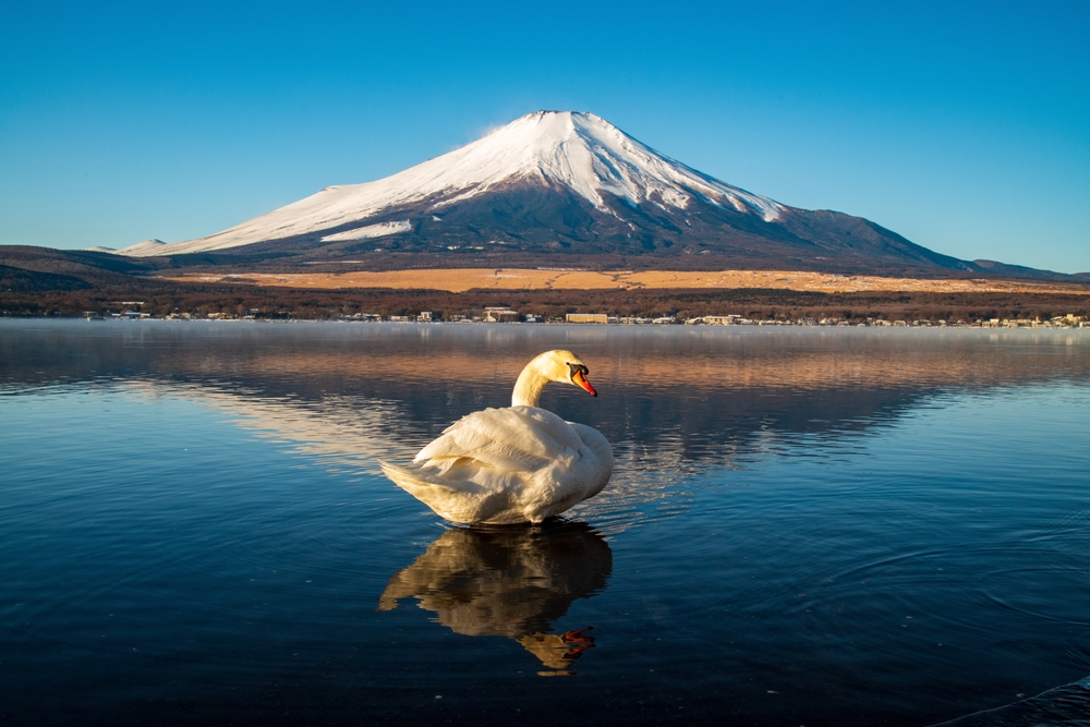 Yamanakako Lake