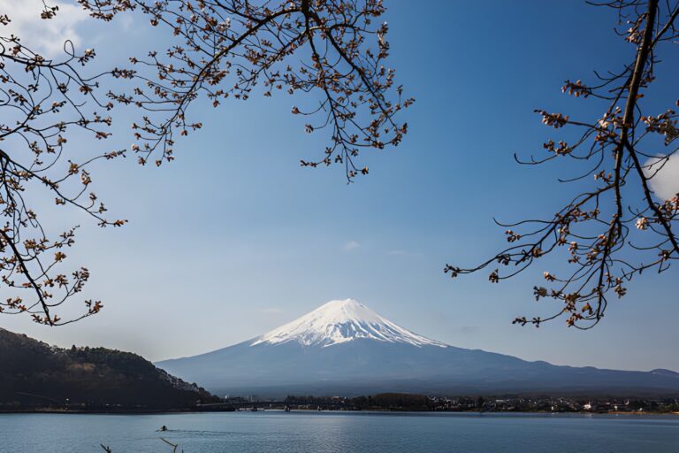 Mount Fuji sightseeing tour with scenic view of Lake Kawaguchi