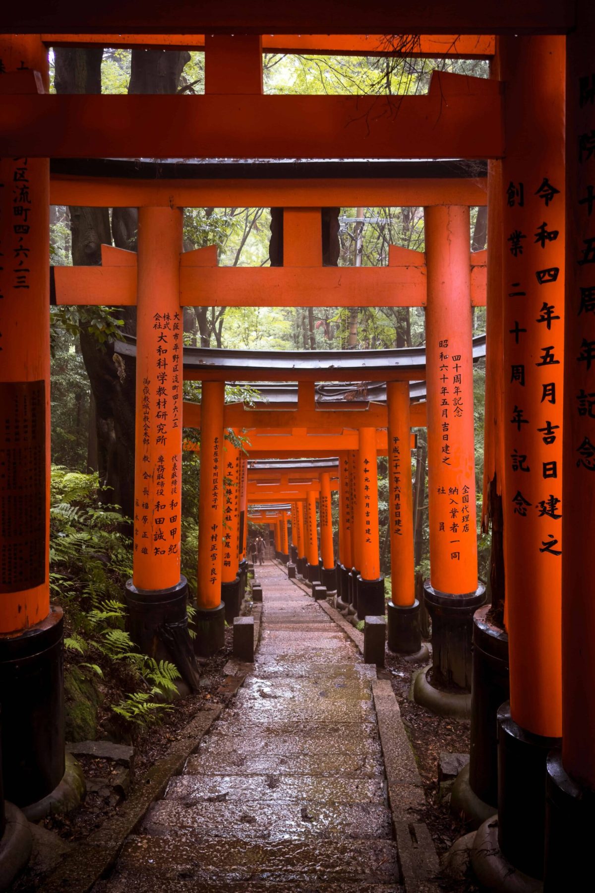 Kyoto Fushimi Inari Shrine