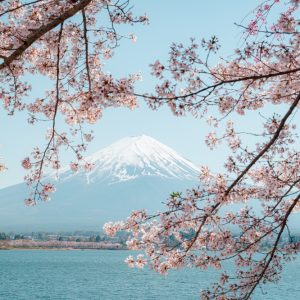 Mount Fuji Five Lakes Private Tour